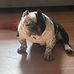 Jeffrey Ducharme Sr. - Facebook