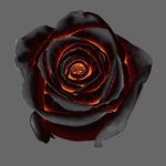 Jeff Dueck - @heavens_thief - Instagram