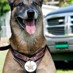 Jeff Duggins - @jeffduggins - Instagram