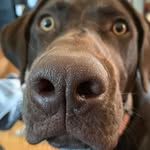 Jeff Dukes - @jeffdukes58 - Instagram