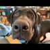 Jeff Dukes - Facebook