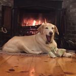 Jeff Dunphy - @jeff.dunphy.5 - Instagram