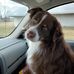 Jeff DuVall - Facebook