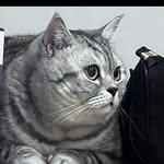 Jeff Duvall - @jeffduvall9 - Instagram