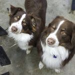 Jeff DuVall - @jeffduvall60 - Instagram