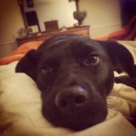 Jeff Dyas - @jcdyas - Instagram