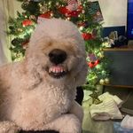 Jeff Dyck - @jdetcher1 - Instagram