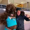 Jeff Earle965 - @jeffearle8907 - TikTok