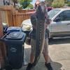 Jeff Searle - @jeffsearle0 - TikTok