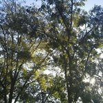 Jeff Eason - @jeffeason60 - Instagram