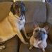 Jeff Ebert - Facebook