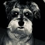 Jeff Ebert - @jeff.ebert - Instagram