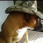 Jeff Elam - @jeff.elam.713 - Instagram
