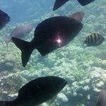 Jeffrey Elam - @jeff.elam.756 - Instagram