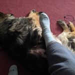 Jeff Elder - @jeff.elder63 - Instagram