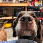 Jeff Elder - @jeff.elder.7 - Instagram