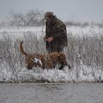 Jeff Elder - @silvercreekguideservice - Instagram