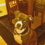 Jeff Eldridge - @jeldridge68 - Instagram