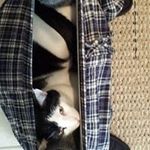 Jeff Eldridge - @jeff.eldridge.963 - Instagram