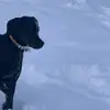Jeff Eley - @jeff.eley - TikTok