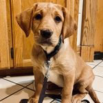 Jeff Ellsworth - @jeffellsworth04 - Instagram