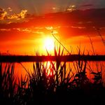 Jeff Ellsworth - @ellsworth11324 - Instagram