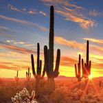 Jeff Ellsworth - @sunsfan74 - Instagram