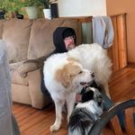 Jeff Emery - @jeff.emery.18 - Instagram