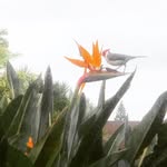 Jeff Eshelman - @jeff.esh99 - Instagram