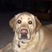 Jeff Ettinger - Facebook