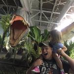 Jeff Everhart - @jeffeverhart383 - Instagram