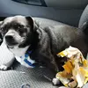jeffeverhart1 - @jeff.everhart - TikTok
