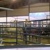 Jeff Davis Parish Fair Grounds - Facebook