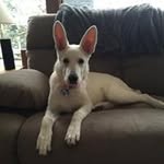 Jeff Fair - @jefffair01 - Instagram