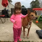 Jeff Fair - @jeff.fair.338 - Instagram