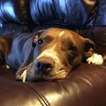Jeff Fair - @fair2377 - Instagram