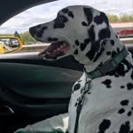 Jeff Fair - @jeff.fair - Instagram