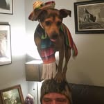 Jeff Fairman - @lionsfather1 - Instagram