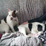 jeff fallon - @jeff.fallon - Instagram