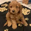 Jeff Fell - @jeff.fell4 - TikTok