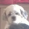 jefffell_3 - @jefffell_3 - TikTok
