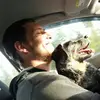 Jeff Forcier - @jeffforcier - TikTok