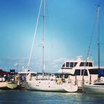 Jeff Forster - @jefffors - Instagram