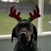 Figley Anna Jeffery - Facebook