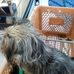 Jeff Foley - Facebook