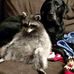 Jeff Foy - Facebook
