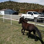 Jeff Foy - @jefoy1 - Instagram