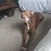 Gage Jeff - Facebook