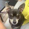 Jeff Gage - @jeff.gage - TikTok