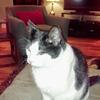 jeffgage1962 - @jeffgage1962 - TikTok